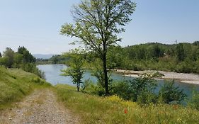 Tra Gli Olivi