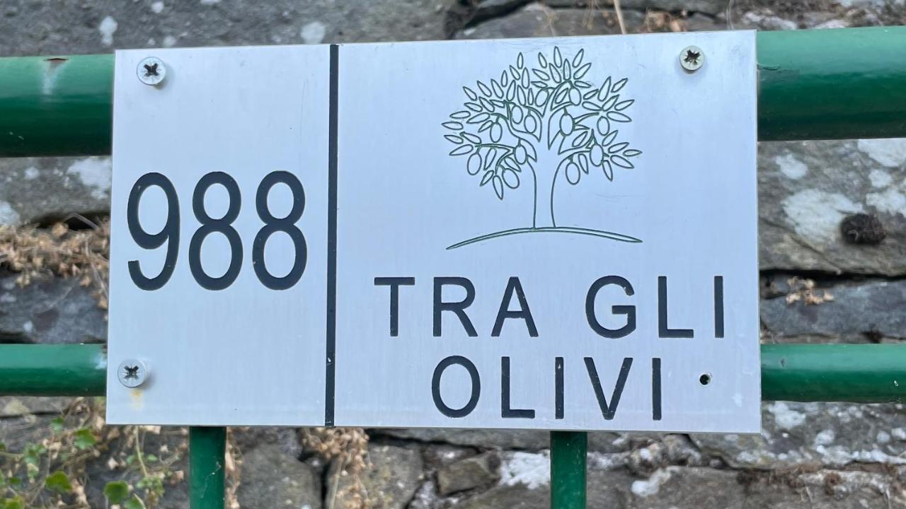 Ferienwohnung Tra Gli Olivi Lucca Exterior foto