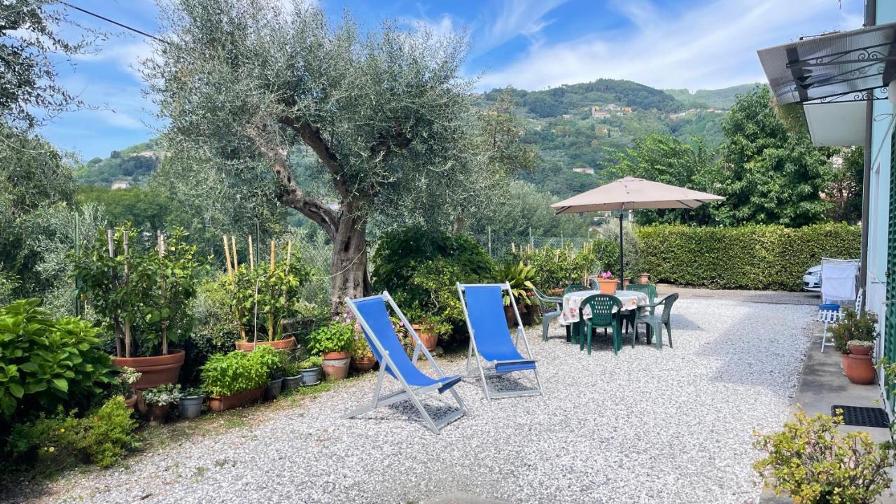Ferienwohnung Tra Gli Olivi Lucca Exterior foto