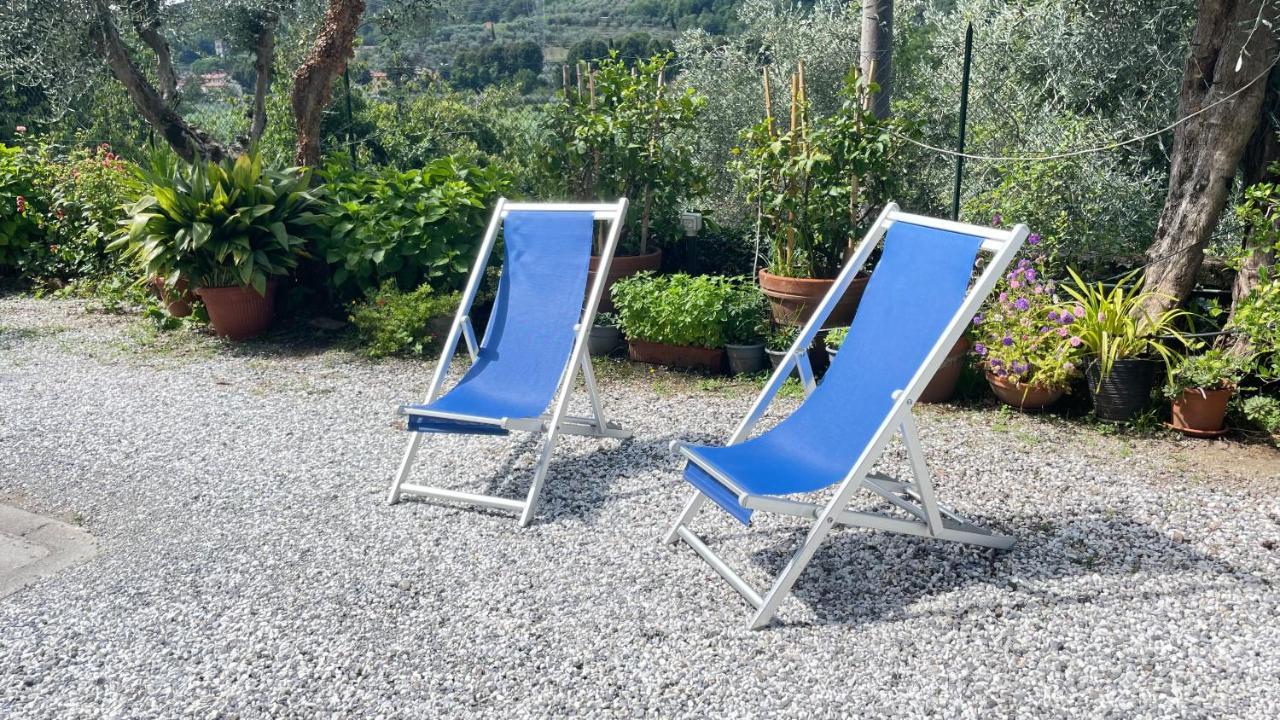 Ferienwohnung Tra Gli Olivi Lucca Exterior foto