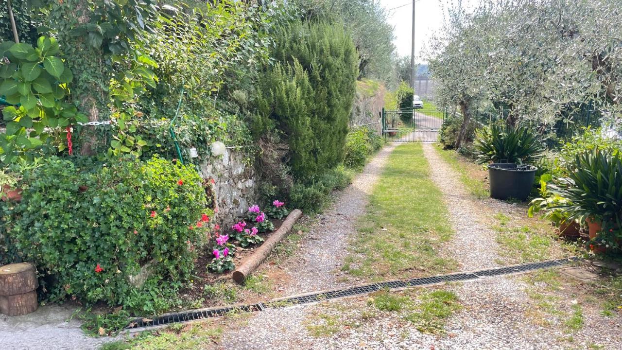 Ferienwohnung Tra Gli Olivi Lucca Exterior foto