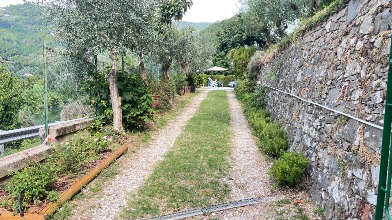 Ferienwohnung Tra Gli Olivi Lucca Exterior foto